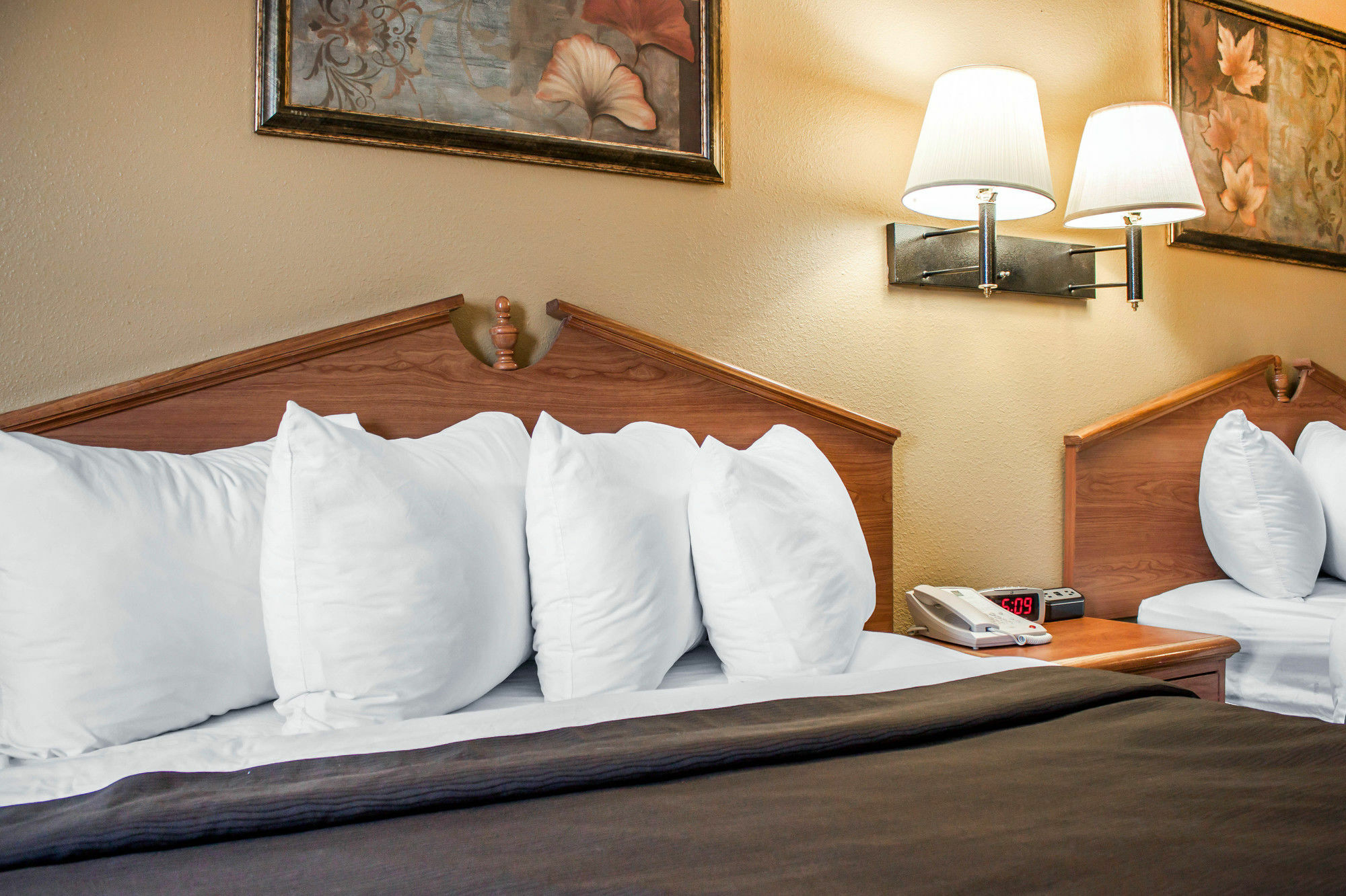 בויזי Quality Inn Airport מראה חיצוני תמונה